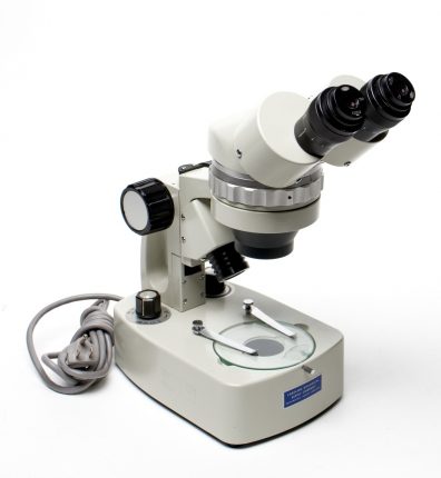 Microscope – Wolfe Stereoscopic